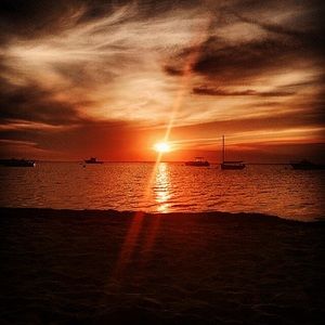 Meet your Posher, Nora